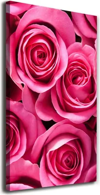 Produktbild von Tulup Leinwandbild® - 70x140cm - Wandkunst - Drucke auf Leinwand - Leinwanddruck - Wohnzimmer Wanddekoration XXL - Wohnung Deko Kunstdrucke - Blumen & Pflanzen - Rosa - Rosa Rosen