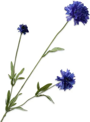 Produktbild von Silk-ka Künstliche Blume – Seidenblume, Kornblumenzweig, Lavendel, 65 cm, Sonderangebot pro 2 Stück
