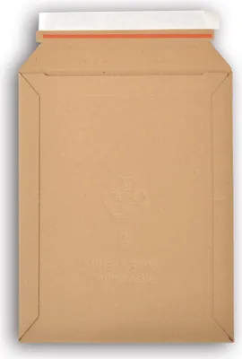 Image de Lot de 5 enveloppes carton wellbox 2 format 215x290 mm