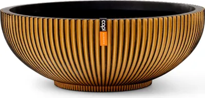 Produktbild von Capi Europe - Schale Groove  - Gold - 40x15