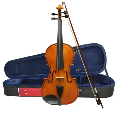 Immagine prodotto di Viola 16 pollici - Set completo - Con custodia, archetto e colofonia - Tastiera in ebano massiccio