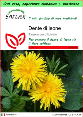 Immagine prodotto di SAFLAX Garden to go - Dente di leone - 200 semi - Taraxacum