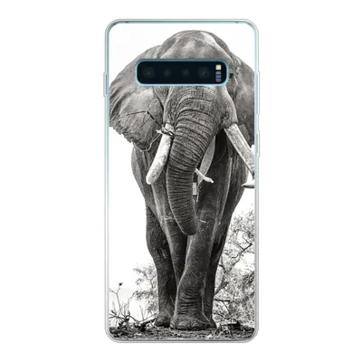 Produktbild von MuchoWow® Handyhülle Schutzhülle Hülle für Samsung Galaxy S10 Lite Elefant - Porträt - Tiere - Schwarz und weiß Silikon Softcase Handy Hülle - Schutz