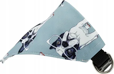 Produktbild von Mittelgroßes Hundehalsband mit Halstuch in Bulldoggenform für den BULDOGS-Fan