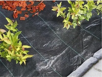 Image de Toile de Paillage Anti Mauvaises Herbes, 2,10 x 25 m, 100 g/m², Traitée Anti UV, Paysages Noire