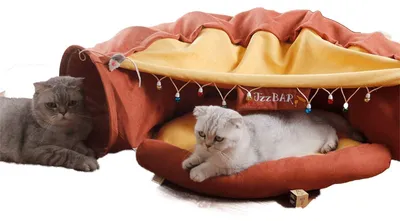 Immagine prodotto di Tunnel pieghevole per gatti - Grigio chiaro