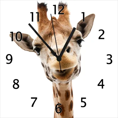 Produktbild von Wallario Design Wanduhr Giraffenkopf aus Echtglas, Größe 30 x 30 cm