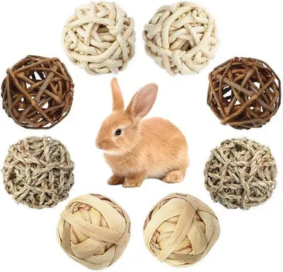 Productafbeelding van Kleine kauwspeeltjes voor cavia's en hamsters - 8 stuks - ook geschikt voor konijnen - knaagspeelgoed voor kleine honden