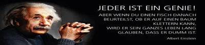 Produktbild von vianmo Blechschild 10x46 cm Einstein Zitat  Jeder ist ein Genie