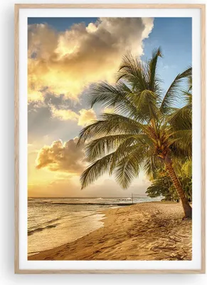 Produktbild von Gerahmtes Poster - Rahmen in heller Eiche - Strand Meer Palme - 70x100 cm - Wand Bild - Wanddeko - Wandbilder - Wandposter - Bilderrahmen - Bilder - Kunstdruck - Wandbild - P2NPA70x100-3606