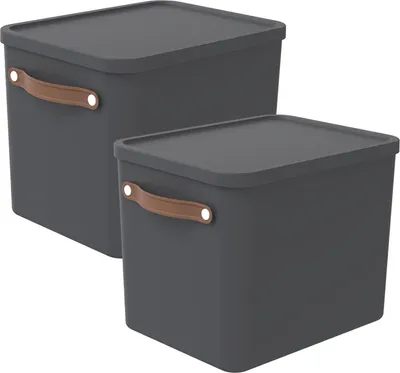 Produktbild von Rotho 2er-Set Aufbewahrungsbox 27L Maloja - Kunststoffbox mit Deckel - Stapelbox 40,0 x 29,0 x 29,5 cm - Plastikbox Ordnungsbox Allzweckkiste
