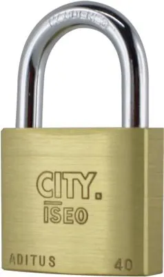 Image de ISEO cadenas, 40 mm, GS