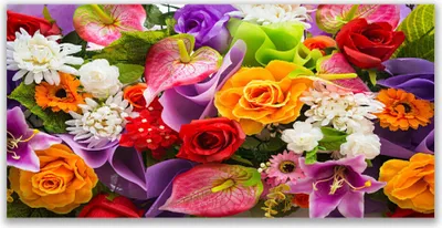 Produktbild von Glasbilder 140x70 Wandbild Druck auf Glas Blumen Pflanzen