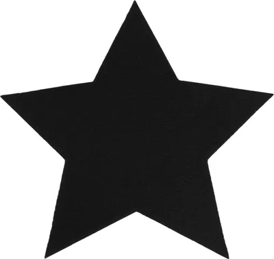 Produktbild von Primaflor Deko-Stern - REVExpo - Schwarz - 16,5 cm - Teller- & Tassenunterlage - Tischunterlage - Tischdecke, Filzdecke & Weihnachts-Deko - Tischdeckchen, Platzdeckchen