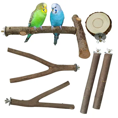 Image de Perchoirs pour oiseaux, en bois naturel, de forme en T, lot de 6, pour perroquets et perruches