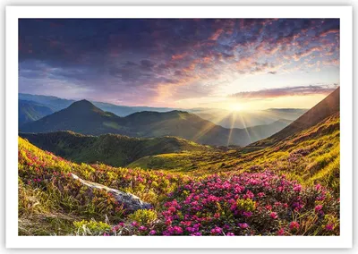 Produktbild von Poster - Poster ohne Rahmen - Gebirge Wiese Landschaft Wald - 100x70 cm - Wand Bild - Wanddeko - Wandbilder - Kunstposter - Wandposter - Bilder - Kunstdruck - Wandbild - P2XAA100x70-3152