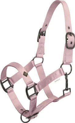 Produktbild von Imperial Riding Halfter IRHRebel Ballerina, Größe:Pony