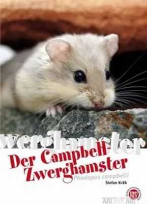 Produktbild von Campbell-Zwerghamster
