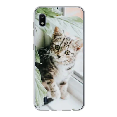 Produktbild von MuchoWow® Handyhülle Schutzhülle Hülle für Samsung Galaxy A10 Katze - Kätzchen - Pflanzen Silikon Softcase Handy Hülle - Schutzhülle