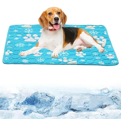 Kühlmatte für Hunde und Katzen, 100 x 70 cm, blau