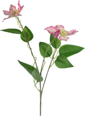Produktbild von Künstliche Blume Clementis 20x15x76 cm rosa Countryfield