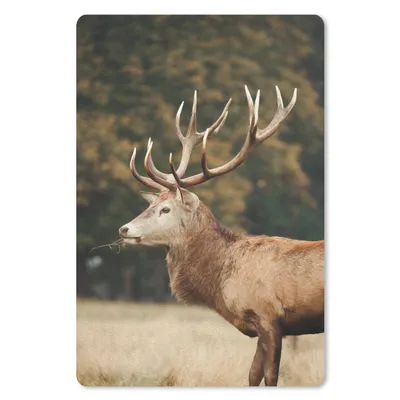 Produktbild von MuchoWow® Mauspad Mousepad Hirsche - Gras - Wald 18x27 cm - Mousepads - Maus Mat - Pad - Mausunterlage