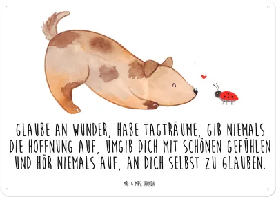 Produktbild von Mr. & Mrs. Panda Schild Hund Marienkäfer DIN A4 - Weiß - Geschenk, Sprüche, Wandbild, Metallbild, Mischlinghund, Mischlingshund, Mischling, Blechschild, Türschild, tafel