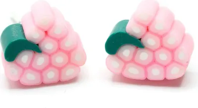 Produktbild von Trauben Ohrstecker Miniblings Stecker Weintrauben Traube Obst Frucht rosa