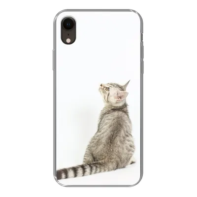 Produktbild von MuchoWow® Handyhülle Schutzhülle Hülle für iPhone XR Katze - Haustiere - Fell Silikon Softcase Handy Hülle - Schutzdeckel