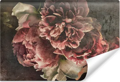 Produktbild von Muralo Vlies Fototapete Pfingstrosen BLUMEN Natur Retro Stil Br. 315cm x Hö. 210cm