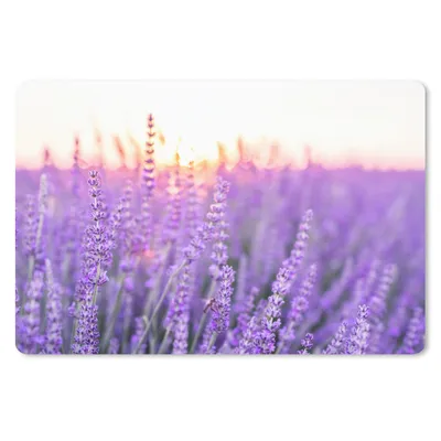 Produktbild von MuchoWow® Schreibtischunterlage Lavendel - Nahaufnahme - Lila - Blumen 60x40 cm - XXL Mauspad - Großes Mauspad