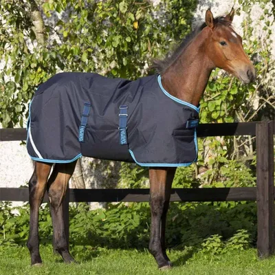 Productafbeelding van Veulen Deken - Paardendeken Veulens - Warm en Droog Houden - Groeiend Aanpassingssysteem - 200g Vulling - Navy
