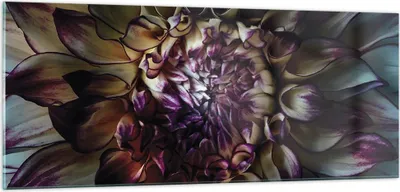Produktbild von Bilder auf glas - Einteilig - Blätter Agave Blume - 100x40cm - Glasbilder - Wandbilder - Bilder - zum Aufhängen bereit - Wanddekoration aus Glas - Glas Bilder - Wandbild auf Glas - GAB100x40-5122