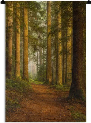 Produktbild von MuchoWow® Wandteppich Wandbehang Wald - Natur - Bäume - Landschaft - Laub 60x90 cm Tapisserie Dekoration Wandtuch - Foto-Teppich - Abwaschbar