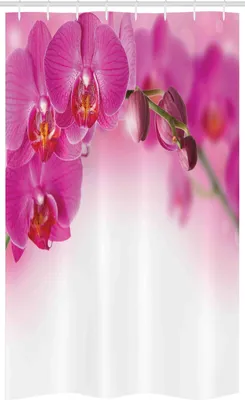 Zdjęcie produktu dla ABAKUHAUS Orchidee Wąska zasłona prysznicowa, Egzotyczna orchidea Feng Shui, zestaw dekoracyjny do łazienki z tkaniny z haczykami, 120 x 180 cm, wielokolorowy