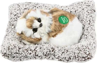 Image de Chien Sur Coussin Décoration Figurine Chien Réaliste Divers Motifs