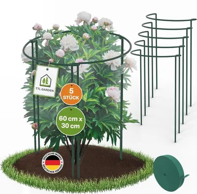 Produktbild von TTL GARDEN Strauchstützen 5er Set 60x30cm + Klettband Pflanzenstütze grün