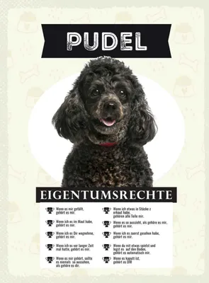 Produktbild von vianmo Holzschild 40x30 cm Pudel Eigentumsrechte Tier Haustier