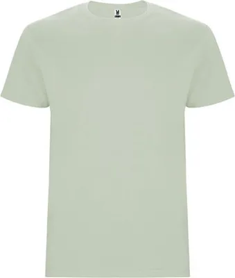 Produktbild von Roly CA6681 | Stafford T-Shirt - Doppellagiger Rundhalskragen - Farbe: Mist Green 264 - Größe: XL