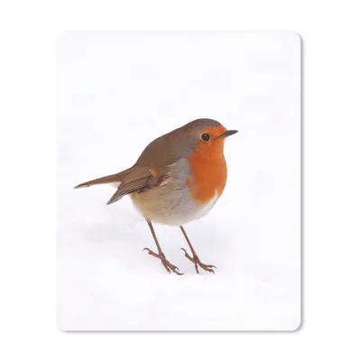 Produktbild von MuchoWow® Mauspad Mousepad Vogel - Rotkehlchen - Schnee 30x40 cm - Mousepads - Maus Mat - Pad - Mausunterlage - Mausmatten