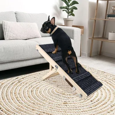 Imagen del producto de Pequeña rampa para perros, ajustable, portátil, plegable, de madera