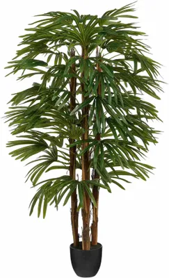 Obrázek produktu pro Mica Decorations Umělá rostlina Raphis – 60 x 60 x 150 cm – polyester – zelená