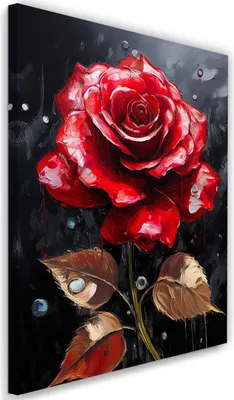 Produktbild von Leinwandbild Rote Rose Regentropfen 40x60 Feeby Rot bild für die wand bereit zum aufhängen