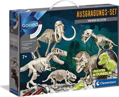 A box for a dinosaur excavation set, showing various dinosaur skeletons.