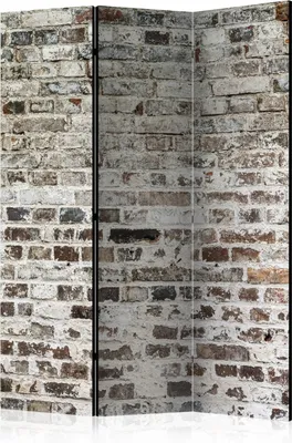 Produktbild von 3-teiliger Doppelseitiger Vlies Paravent - Walls of Time 135x172 cm Muster f-A-0457-z-b
