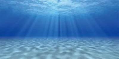 Imagen del producto de Fondo para acuario, diseño submarino, 61x30 cm, vinilo, sin reflejos, ideal para acuarios