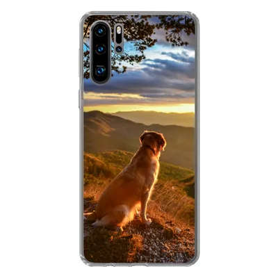 Produktbild von MuchoWow® Handyhülle Schutzhülle Hülle für Huawei P30 Pro Ein Golden Retriever beobachtet den Sonnenuntergang Silikon Softcase Handy Hülle - Schutzdeckel
