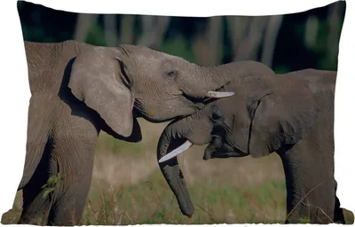 Produktbild von MuchoWow® Outdoor Kissen - Elefant - Tiere - Grau - Natur - 60x40 cm - Wetterfest - Lounge Kissen - Zierkissen - Kissen für Innenräume