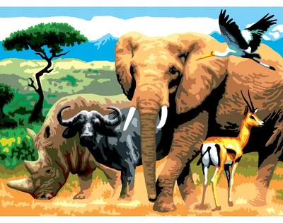 Produktbild von PRACHT Malen nach Zahlen Junior Afrikanische Tiere