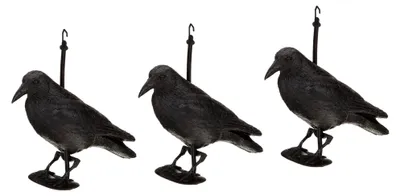Produktbild von Fliegender oder sitzender schwarzer Rabe aus Kunststoff zur Taubenabwehr